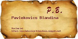 Pavlekovics Blandina névjegykártya